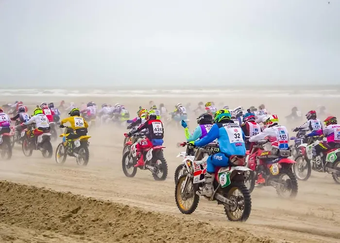 En Plein Centre-ville *